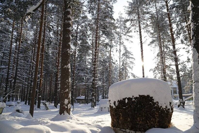 Фото Парк-Отеля Усадьба Мещёрская Гусь-Хрустальный 13