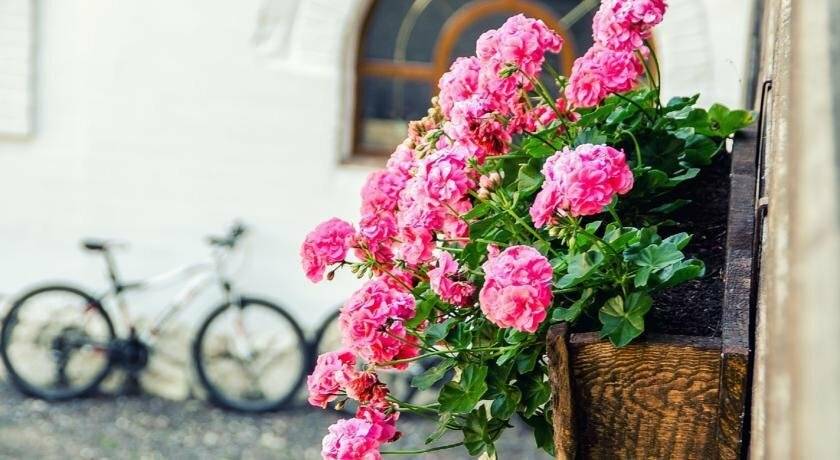 Фото Парк-Отеля Усадьба Мещёрская Гусь-Хрустальный 80