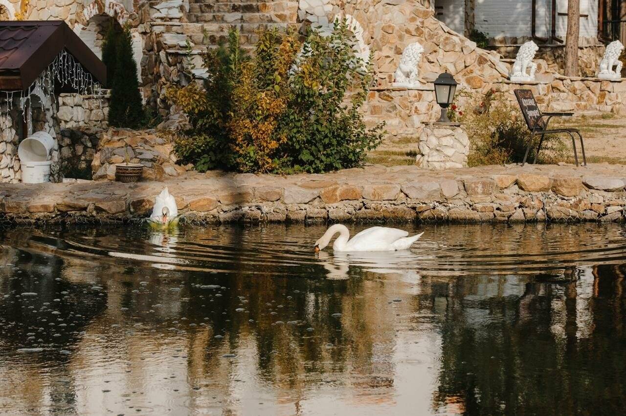Фото Парк-Отеля Усадьба Мещёрская Гусь-Хрустальный 62