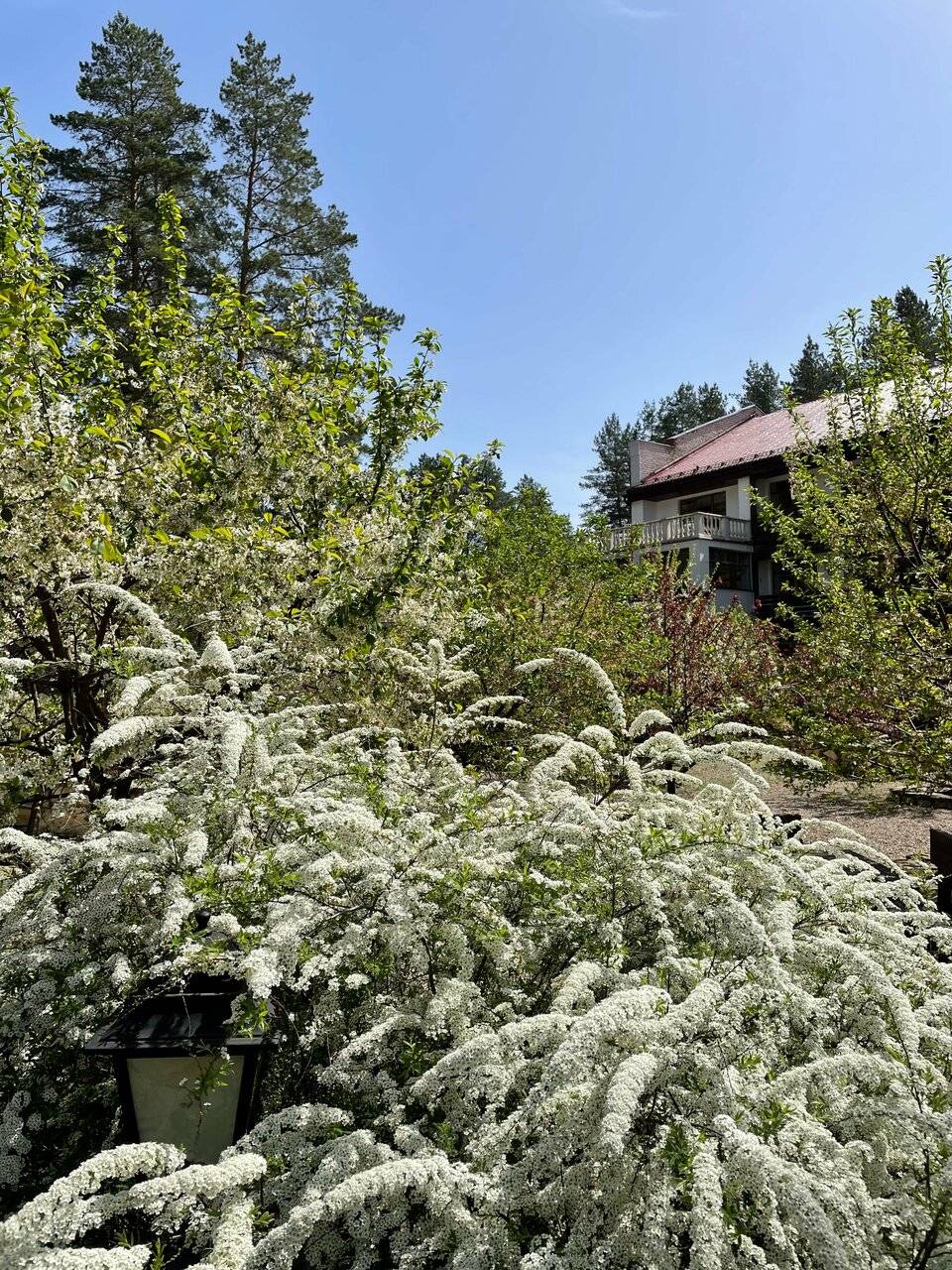 Фото Парк-Отеля Усадьба Мещёрская Гусь-Хрустальный 16