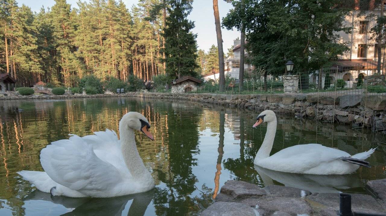 Фото Парк-Отеля Усадьба Мещёрская Гусь-Хрустальный 56