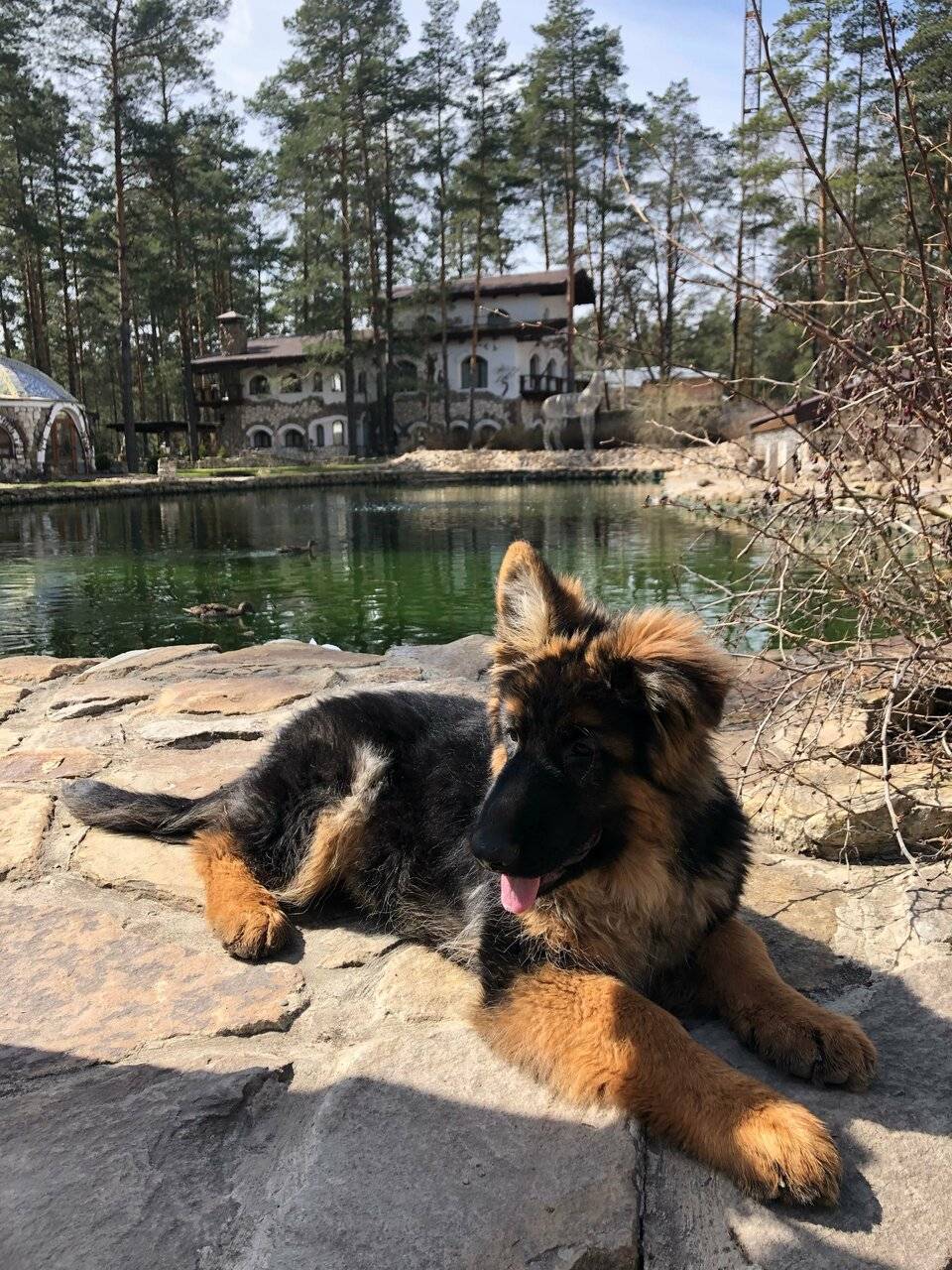 Фото Парк-Отеля Усадьба Мещёрская Гусь-Хрустальный 64