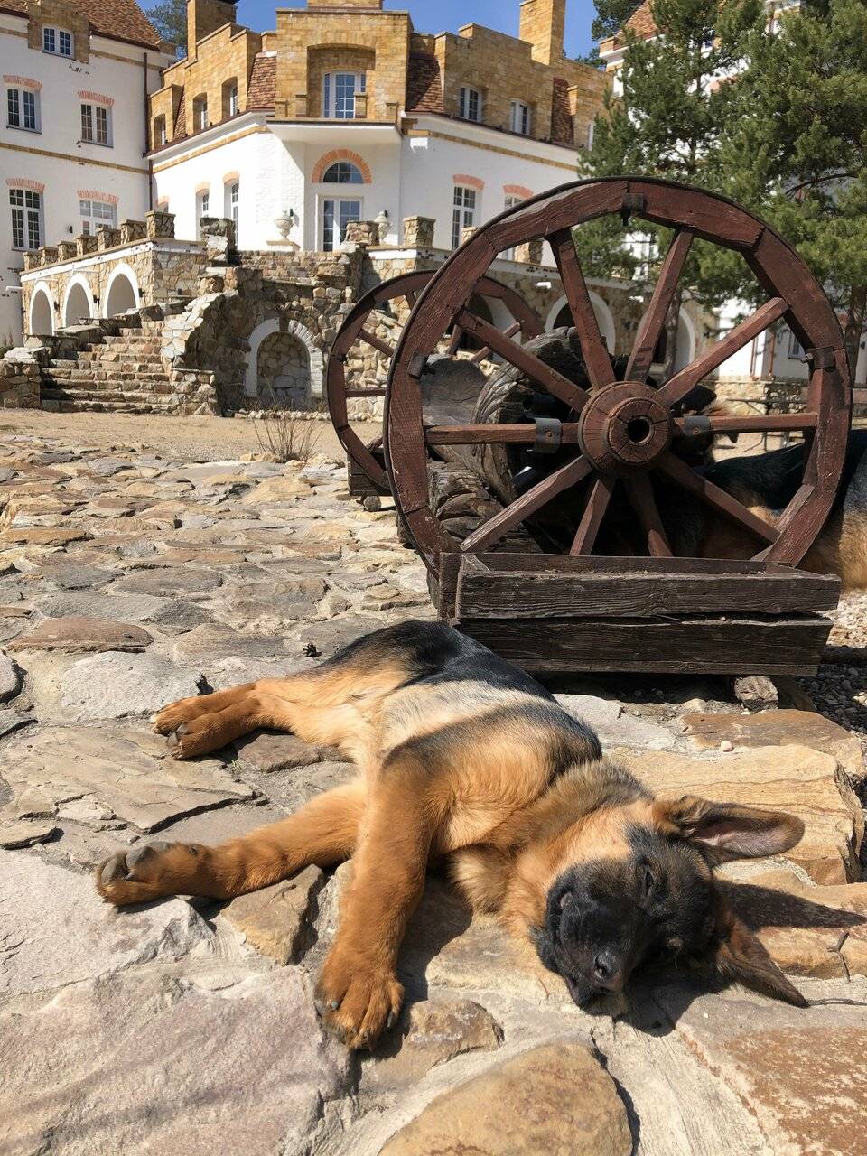 Фото Парк-Отеля Усадьба Мещёрская Гусь-Хрустальный 31