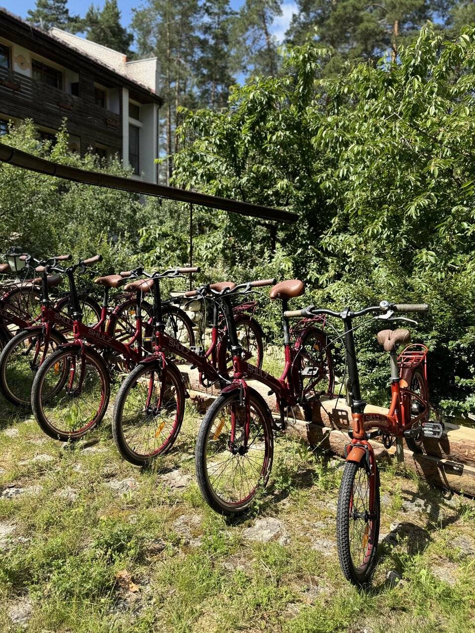 Фото Парк-Отеля Усадьба Мещёрская Гусь-Хрустальный 49