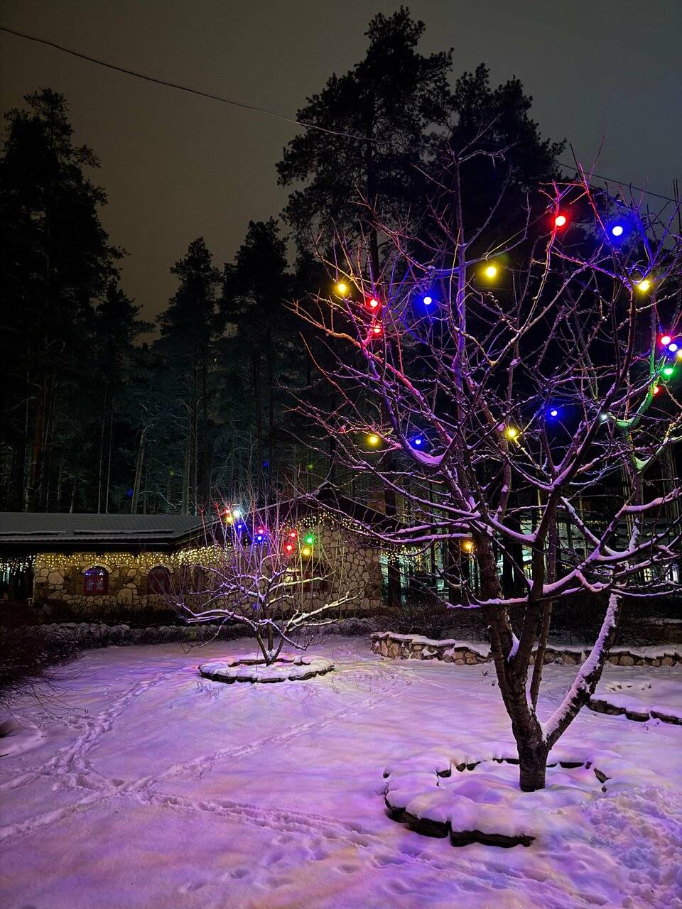 Фото Парк-Отеля Усадьба Мещёрская Гусь-Хрустальный 60