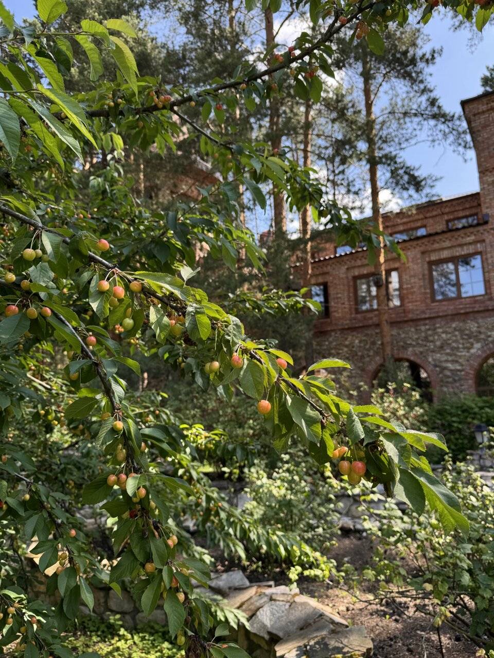 Фото Парк-Отеля Усадьба Мещёрская Гусь-Хрустальный 29