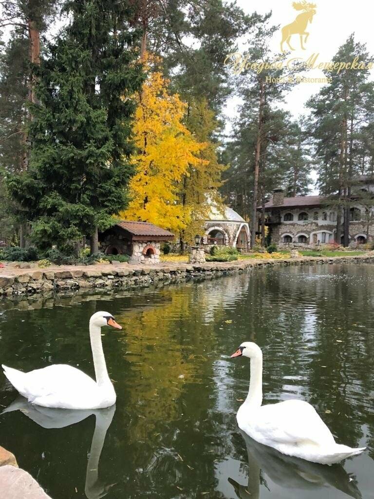 Фото Парк-Отеля Усадьба Мещёрская Гусь-Хрустальный 100