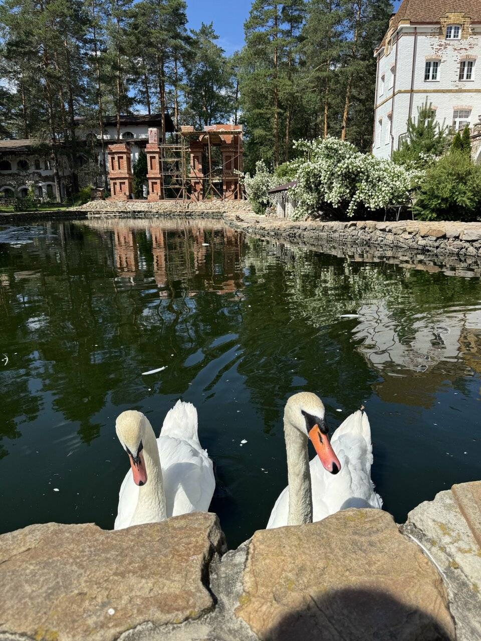 Фото Парк-Отеля Усадьба Мещёрская Гусь-Хрустальный 58