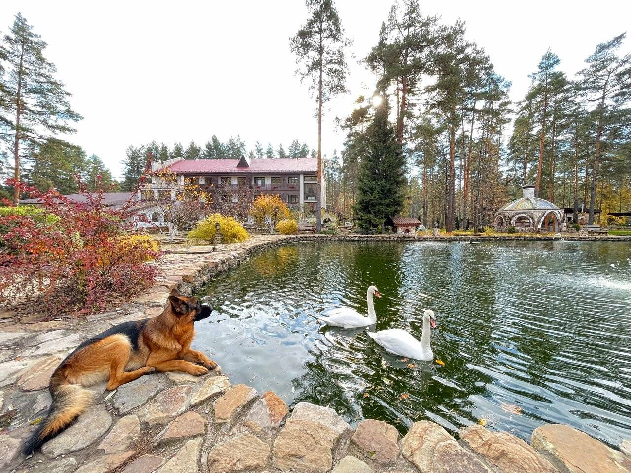 Фото Парк-Отеля Усадьба Мещёрская Гусь-Хрустальный 41