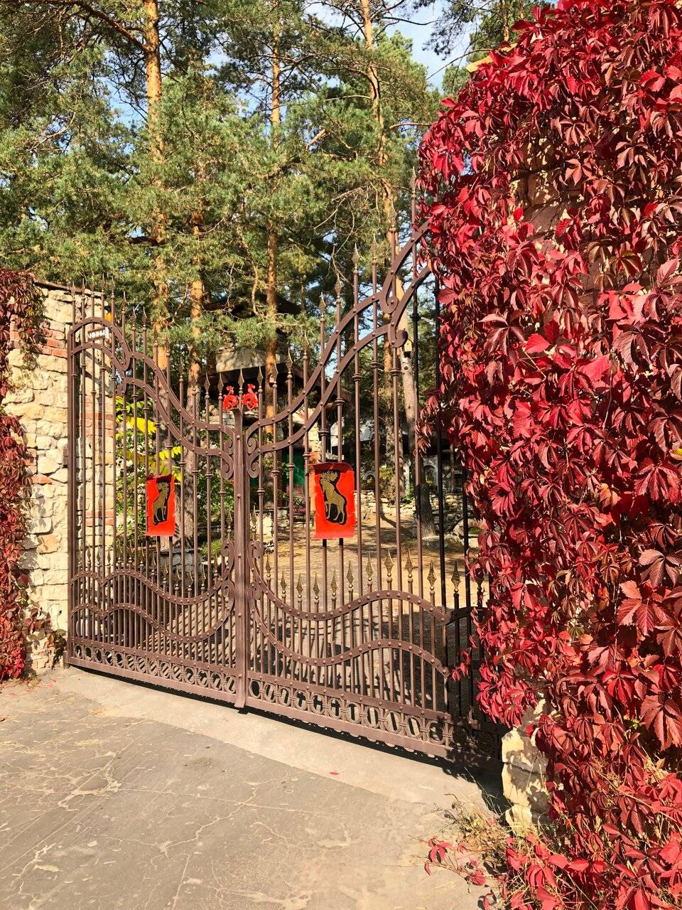 Фото Парк-Отеля Усадьба Мещёрская Гусь-Хрустальный 47