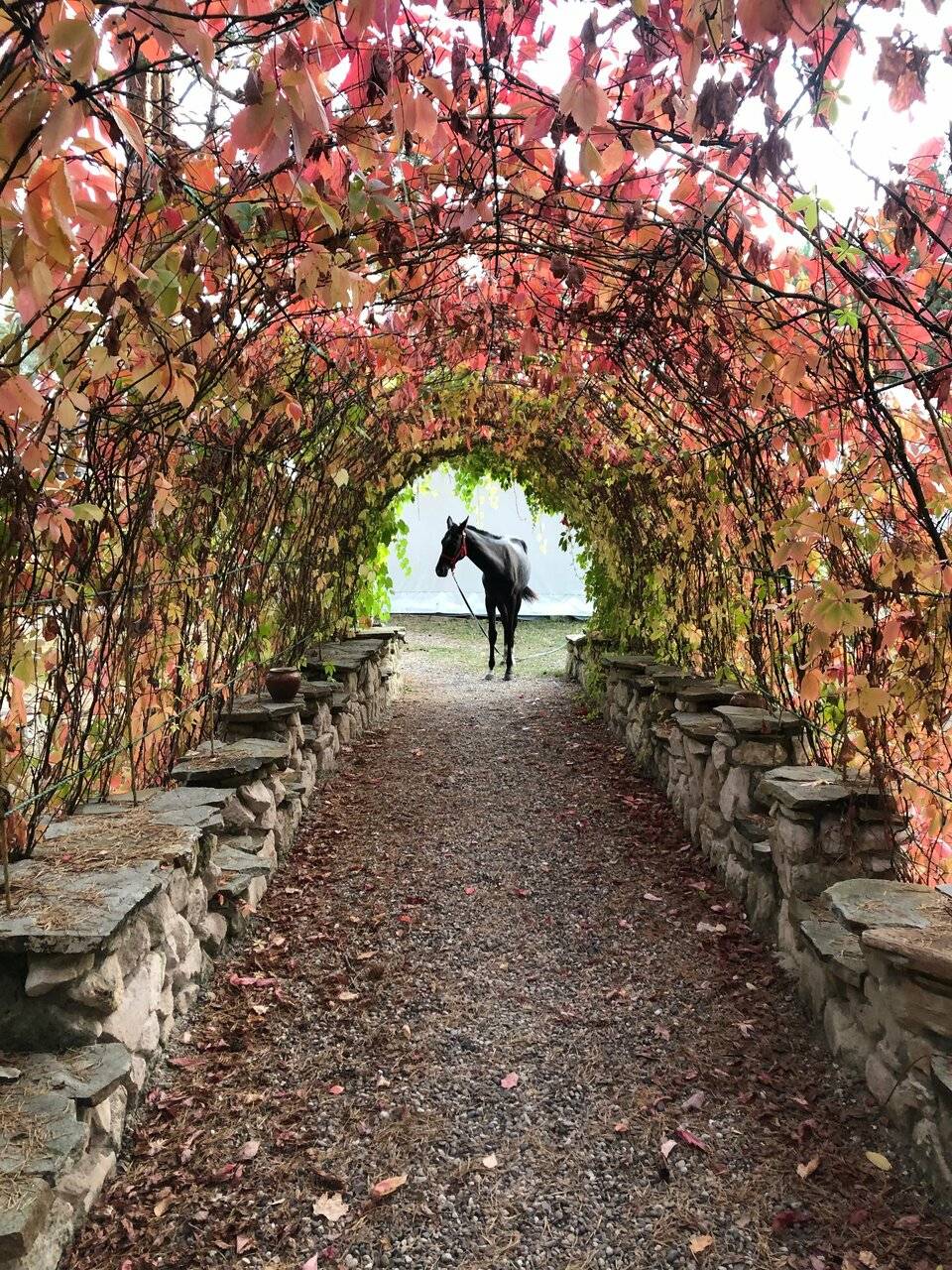 Фото Парк-Отеля Усадьба Мещёрская Гусь-Хрустальный 19