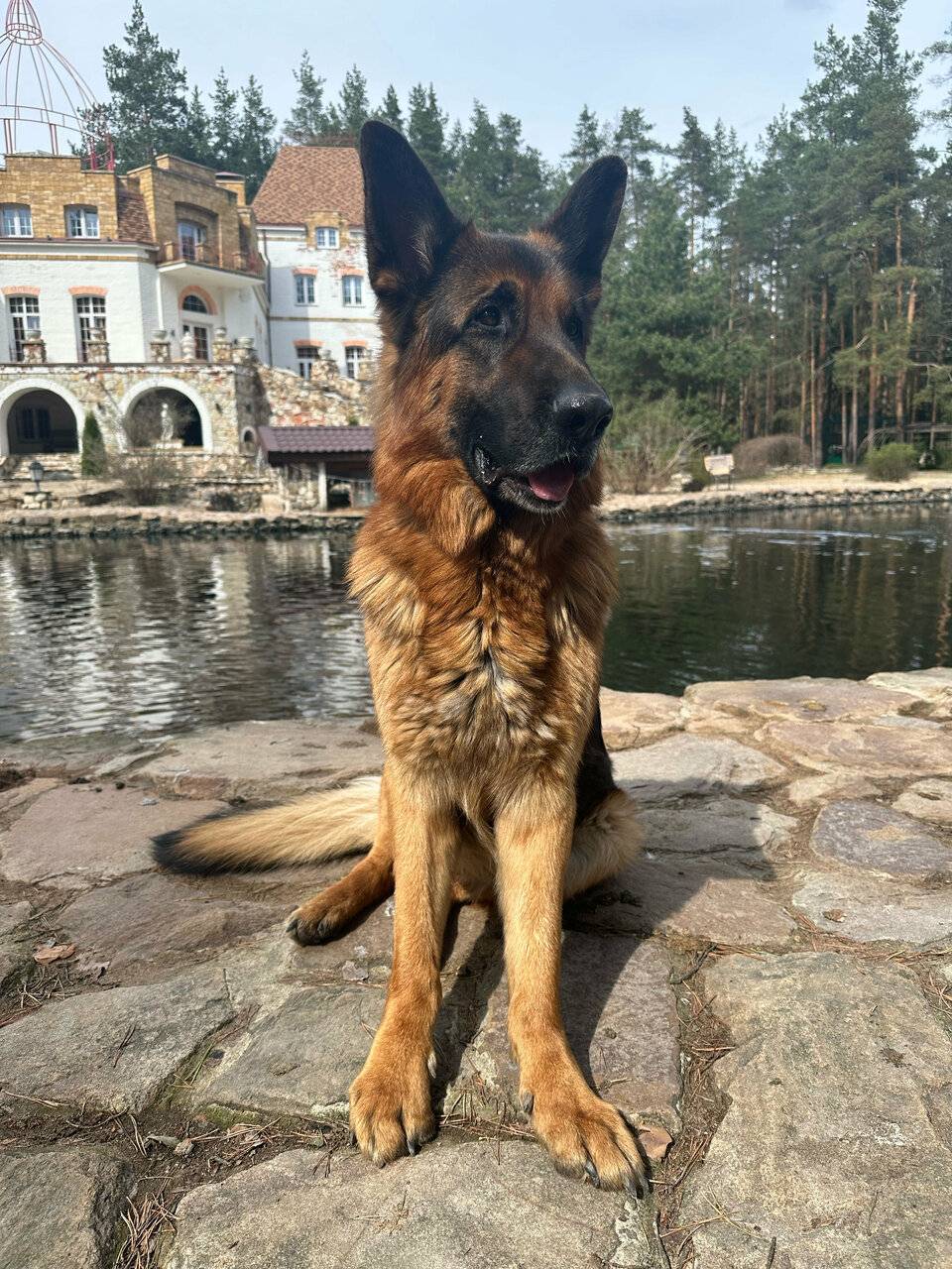 Фото Парк-Отеля Усадьба Мещёрская Гусь-Хрустальный 249