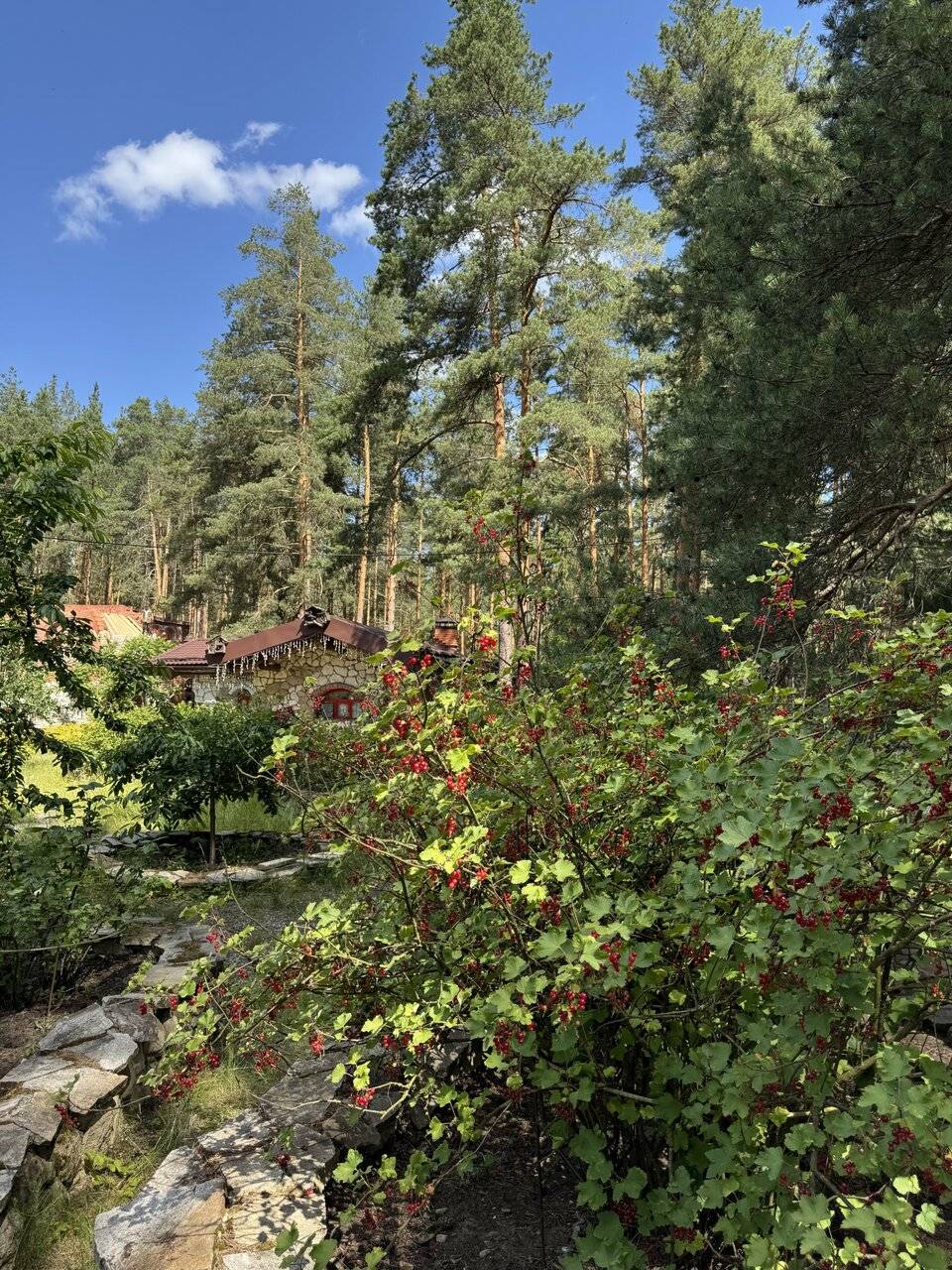 Фото Парк-Отеля Усадьба Мещёрская Гусь-Хрустальный 79