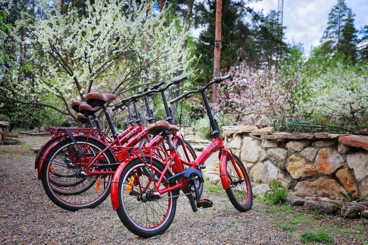 Фото Парк-Отеля Усадьба Мещёрская Гусь-Хрустальный 20