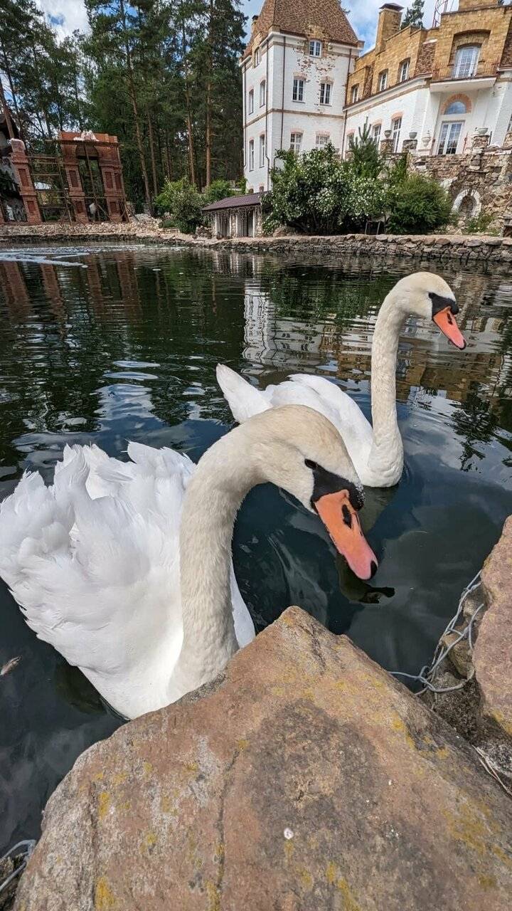 Фото Парк-Отеля Усадьба Мещёрская Гусь-Хрустальный 246