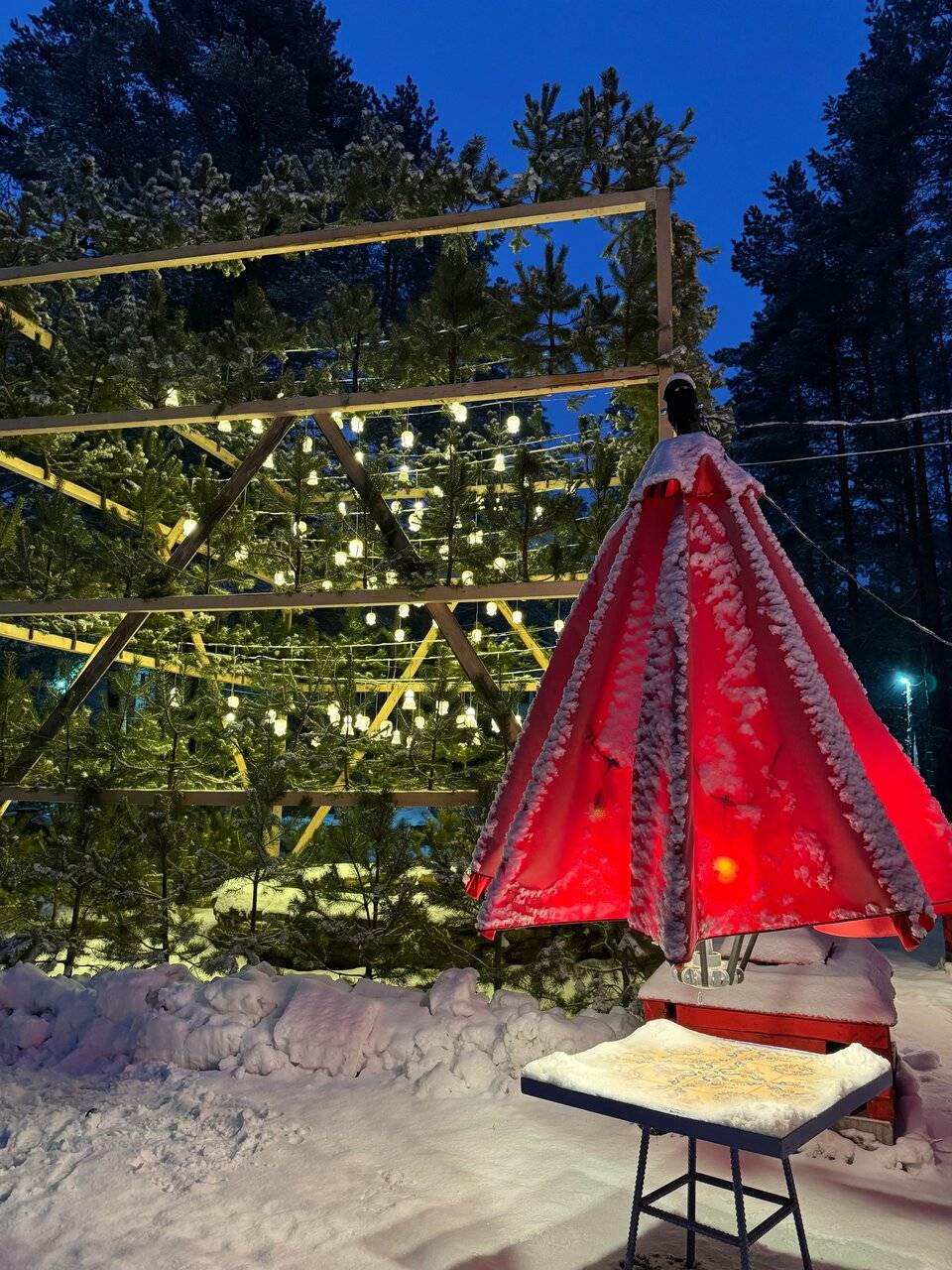 Фото Парк-Отеля Усадьба Мещёрская Гусь-Хрустальный 133